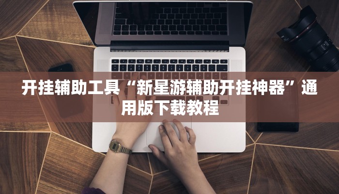 开挂辅助工具“新星游辅助开挂神器”通用版下载教程