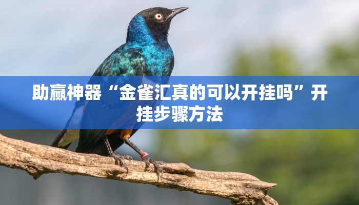 助赢神器“金雀汇真的可以开挂吗”开挂步骤方法