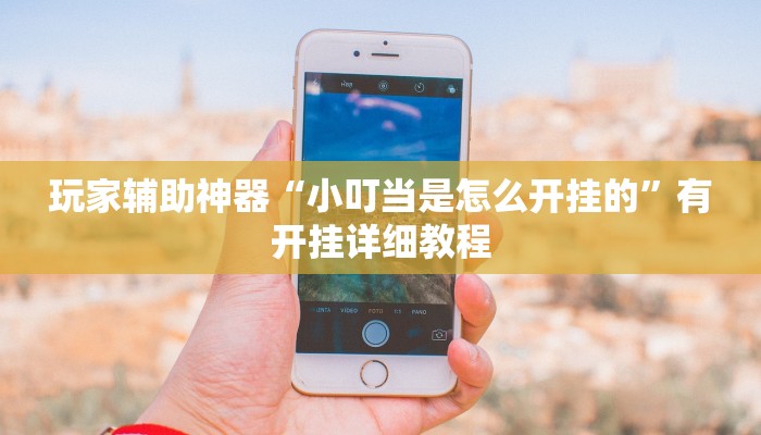 玩家辅助神器“小叮当是怎么开挂的”有开挂详细教程