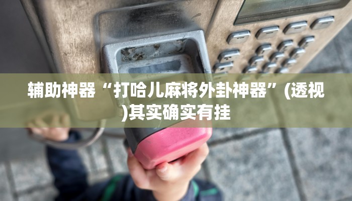 辅助神器“打哈儿麻将外卦神器”(透视)其实确实有挂