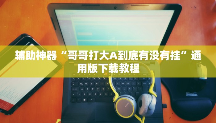 辅助神器“哥哥打大A到底有没有挂”通用版下载教程