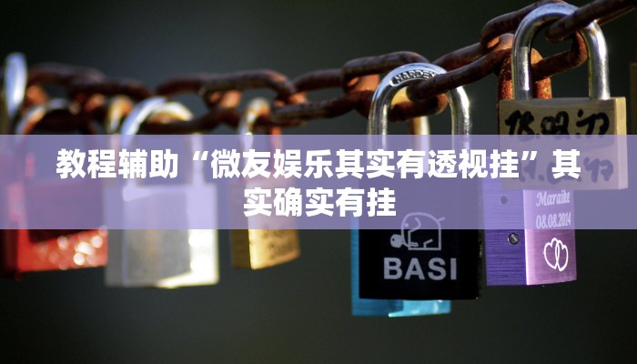 教程辅助“微友娱乐其实有透视挂”其实确实有挂