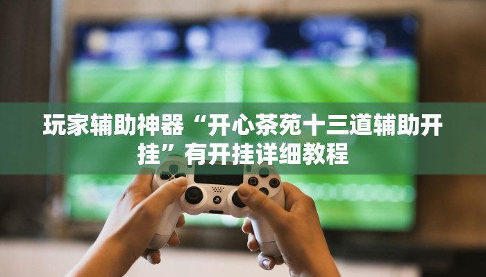 玩家辅助神器“开心茶苑十三道辅助开挂”有开挂详细教程