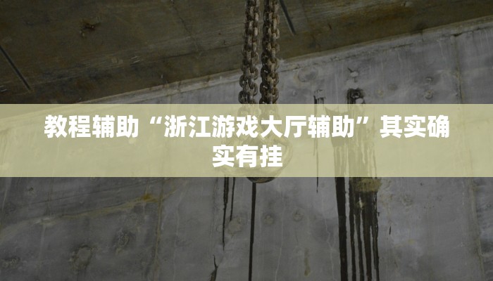 教程辅助“浙江游戏大厅辅助”其实确实有挂