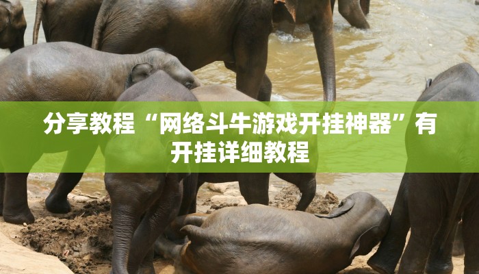 辅助神器“边锋山西麻将怎么开挂”(透视)其实确实有挂