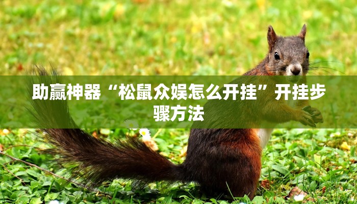 助赢神器“松鼠众娱怎么开挂”开挂步骤方法