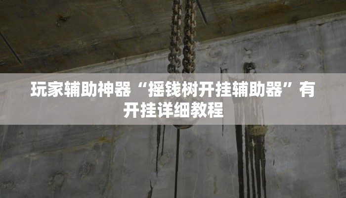 玩家辅助神器“摇钱树开挂辅助器”有开挂详细教程