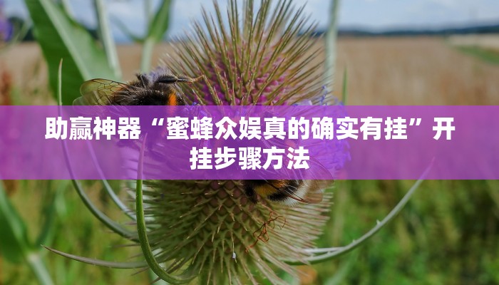 助赢神器“蜜蜂众娱真的确实有挂”开挂步骤方法