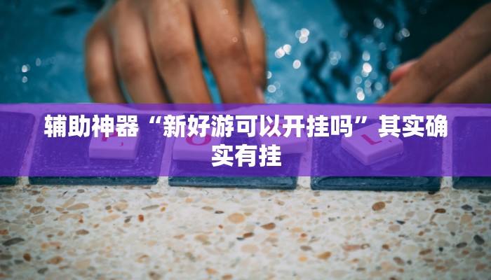 辅助神器“新好游可以开挂吗”其实确实有挂