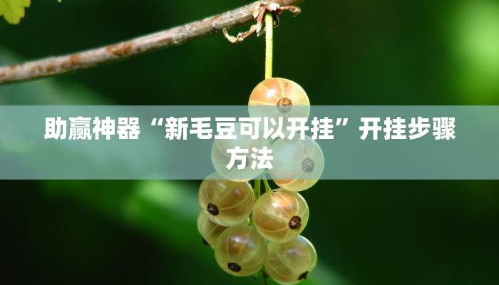 助赢神器“新毛豆可以开挂”开挂步骤方法