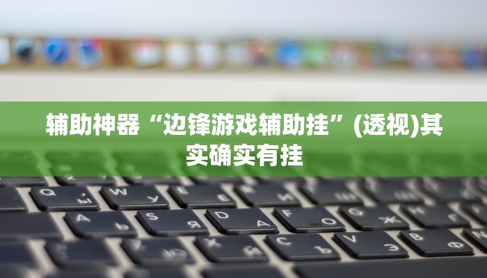 辅助神器“边锋游戏辅助挂”(透视)其实确实有挂 辅助神器“边锋游戏辅助挂”(透视)其实确实有挂