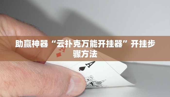 助赢神器“云扑克万能开挂器”开挂步骤方法