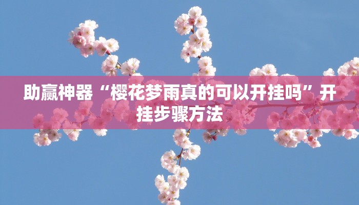 分享教程“哪哪十三张可以透视吗”2025开挂教程步骤