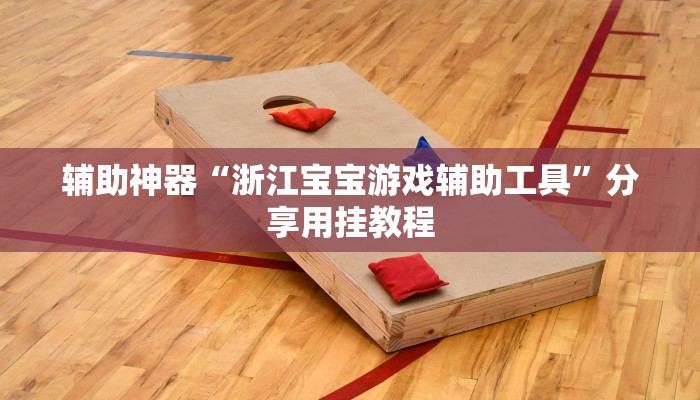 辅助神器“浙江宝宝游戏辅助工具”分享用挂教程