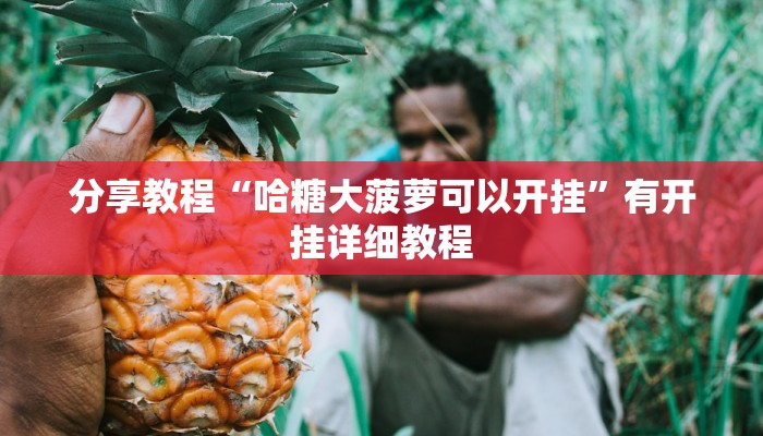 玩家辅助神器“呼包鄂游戏可以开挂吗”2025开挂教程步骤