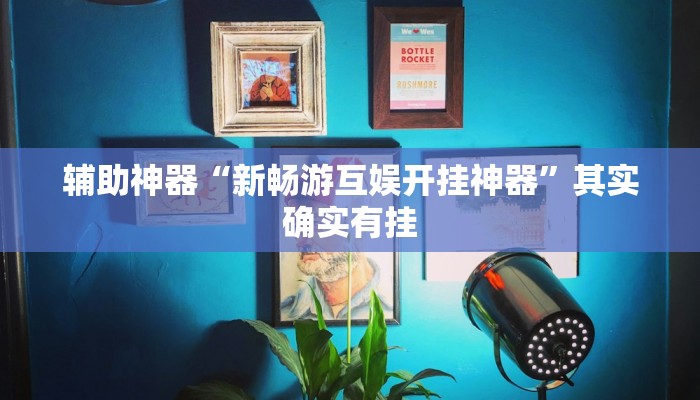辅助神器“新畅游互娱开挂神器”其实确实有挂