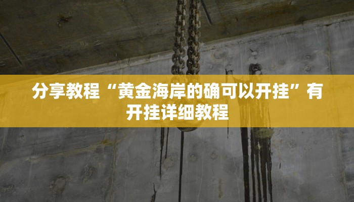 分享教程“黄金海岸的确可以开挂”有开挂详细教程