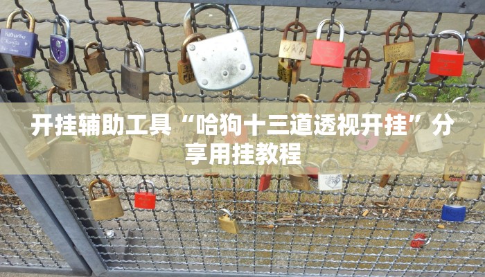 开挂辅助工具“哈狗十三道透视开挂”分享用挂教程