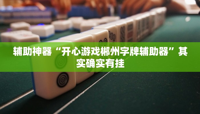 辅助神器“开心游戏郴州字牌辅助器”其实确实有挂
