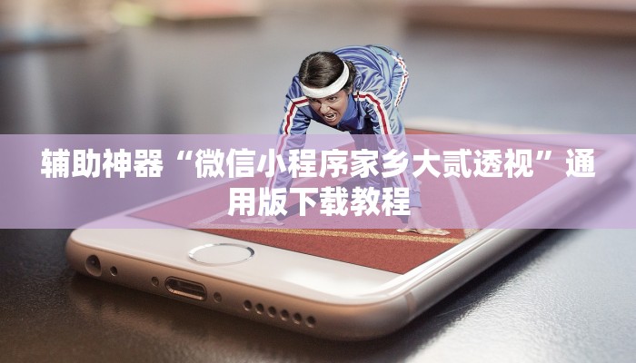 辅助神器“微信小程序家乡大贰透视”通用版下载教程