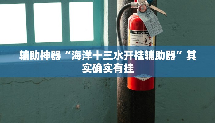 辅助神器“海洋十三水开挂辅助器”其实确实有挂