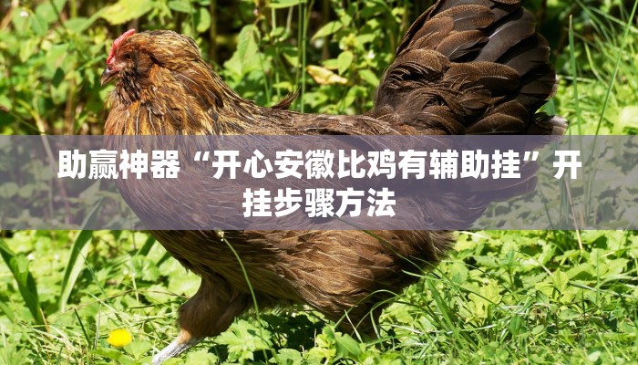 助赢神器“开心安徽比鸡有辅助挂”开挂步骤方法 助赢神器“开心安徽比鸡有辅助挂”开挂步骤方法