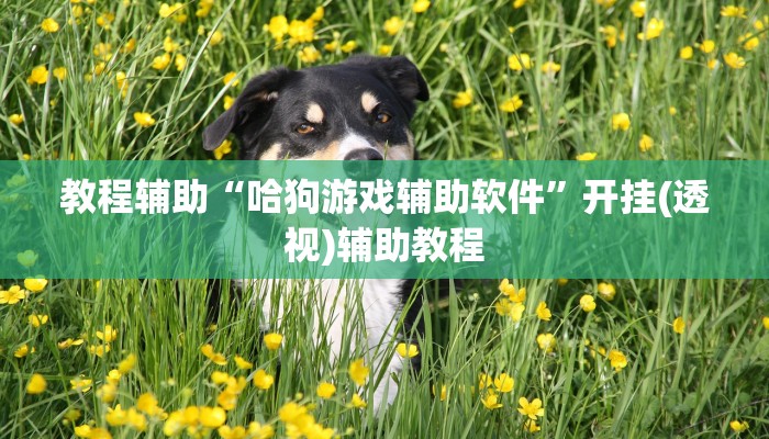 教程辅助“哈狗游戏辅助软件”开挂(透视)辅助教程