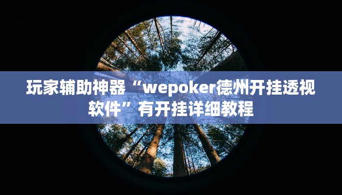 玩家辅助神器“wepoker德州开挂透视软件”有开挂详细教程