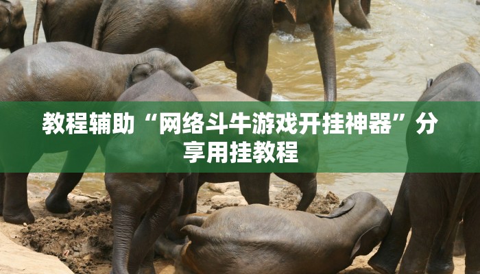 辅助神器“微乐跑得快万能开挂器通用版”(透视)其实确实有挂