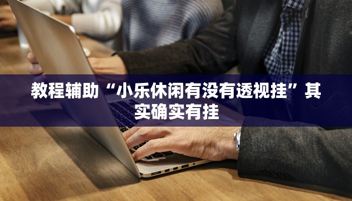 教程辅助“小乐休闲有没有透视挂”其实确实有挂