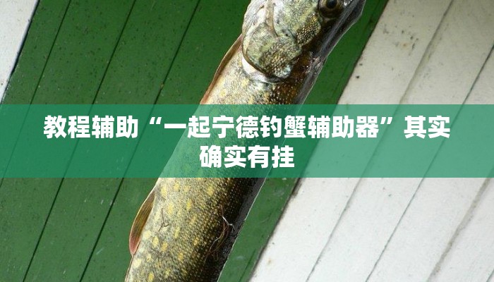 教程辅助“一起宁德钓蟹辅助器”其实确实有挂