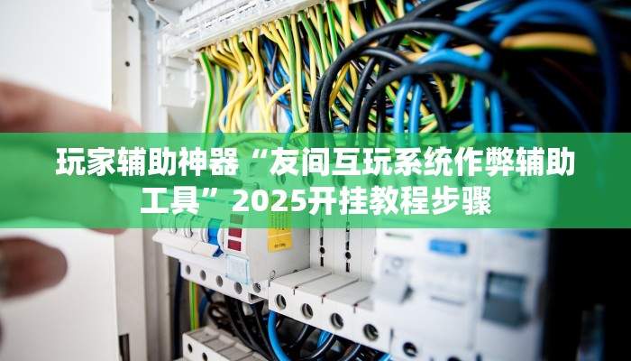 玩家辅助神器“友间互玩系统作弊辅助工具”2025开挂教程步骤
