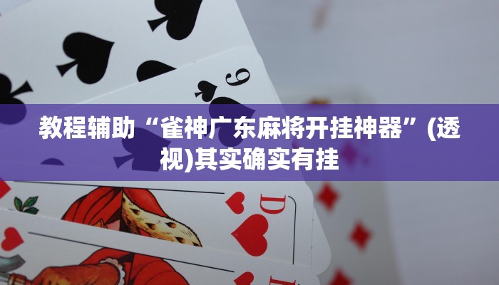 教程辅助“雀神广东麻将开挂神器”(透视)其实确实有挂