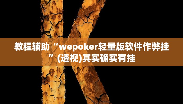 教程辅助“wepoker轻量版软件作弊挂”(透视)其实确实有挂