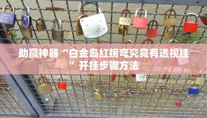 助赢神器“白金岛红拐弯究竟有透视挂”开挂步骤方法