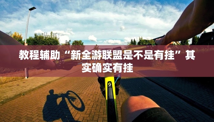 教程辅助“新全游联盟是不是有挂”其实确实有挂