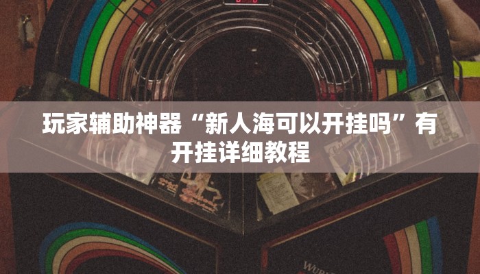 玩家辅助神器“新人海可以开挂吗”有开挂详细教程