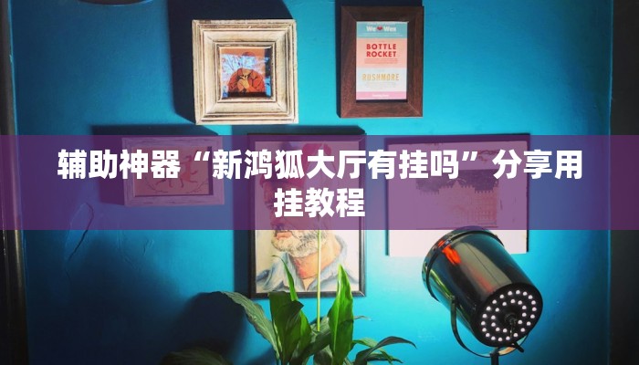 辅助神器“新鸿狐大厅有挂吗”分享用挂教程