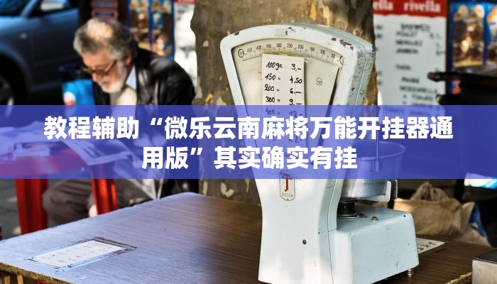 教程辅助“微乐云南麻将万能开挂器通用版”其实确实有挂