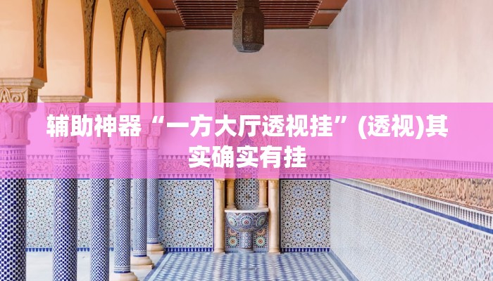 辅助神器“一方大厅透视挂”(透视)其实确实有挂