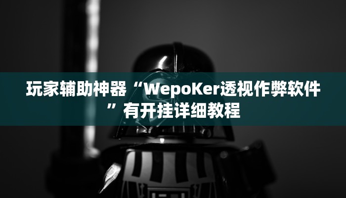 玩家辅助神器“WepoKer透视作弊软件”有开挂详细教程