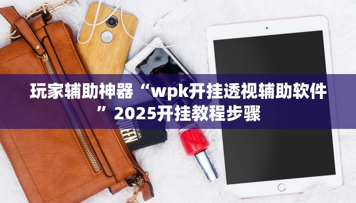 玩家辅助神器“wpk开挂透视辅助软件”2025开挂教程步骤 玩家辅助神器“wpk开挂透视辅助软件”2025开挂教程步骤