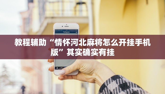 教程辅助“情怀河北麻将怎么开挂手机版”其实确实有挂