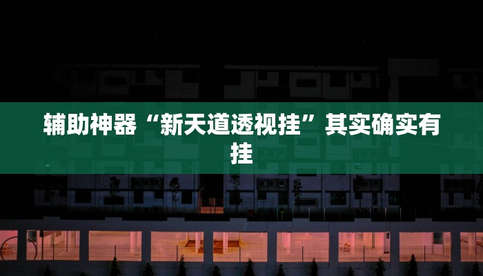 辅助神器“新天道透视挂”其实确实有挂