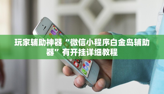 玩家辅助神器“微信小程序白金岛辅助器”有开挂详细教程