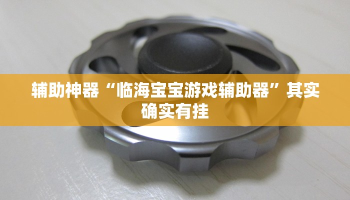 辅助神器“临海宝宝游戏辅助器”其实确实有挂