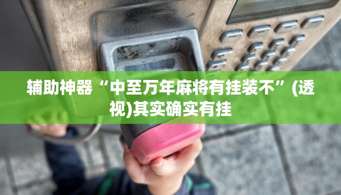 辅助神器“中至万年麻将有挂装不”(透视)其实确实有挂