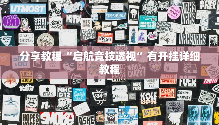 分享教程“启航竞技透视”有开挂详细教程