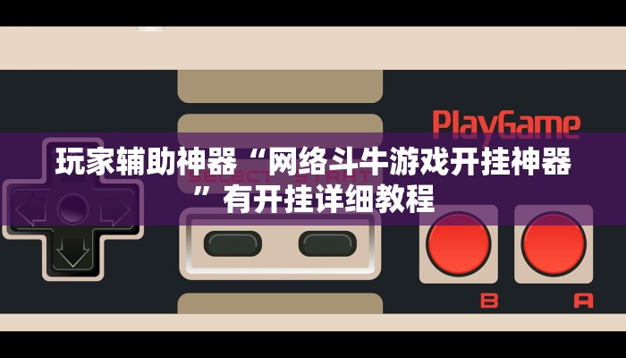 玩家辅助神器“网络斗牛游戏开挂神器”有开挂详细教程