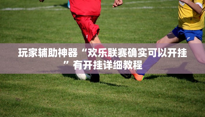 玩家辅助神器“欢乐联赛确实可以开挂”有开挂详细教程